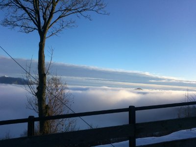 specialmente in gennaio