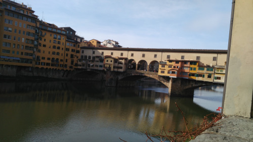 domenica a Firenze