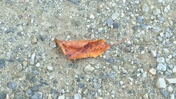 gli ascolti di ottobre 2018