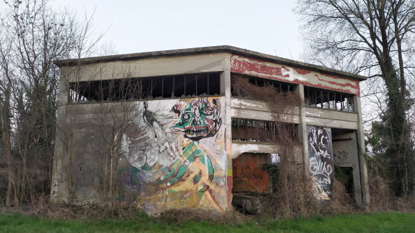 non abbiamo mai imparato niente