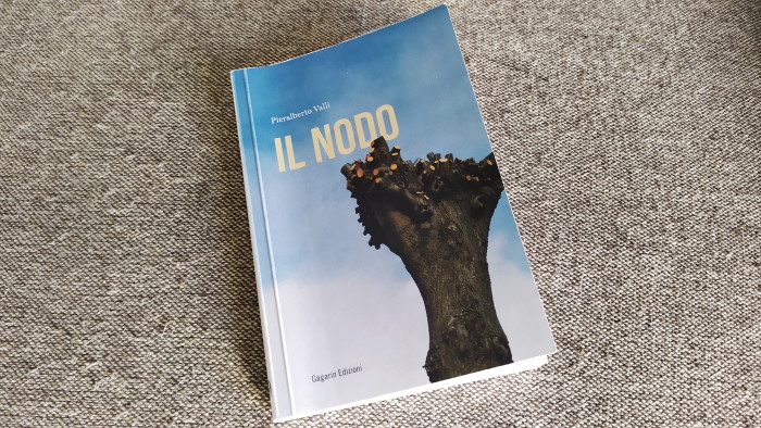 “Il nodo” di Pieralberto Valli