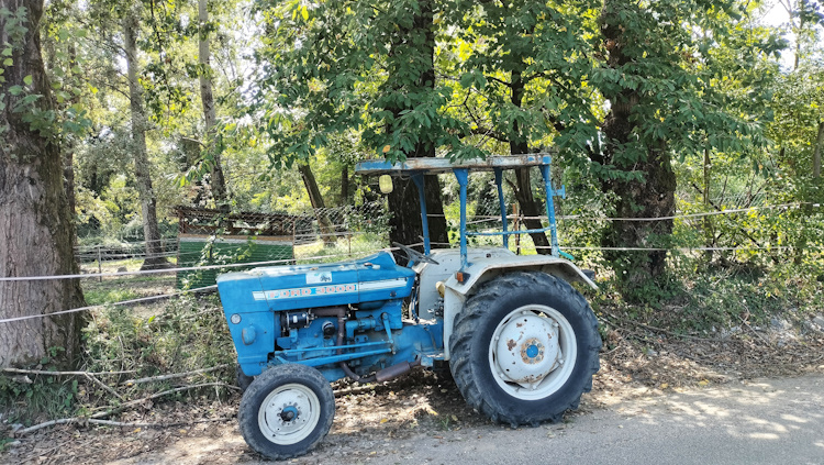 gli ascolti di ottobre 2023