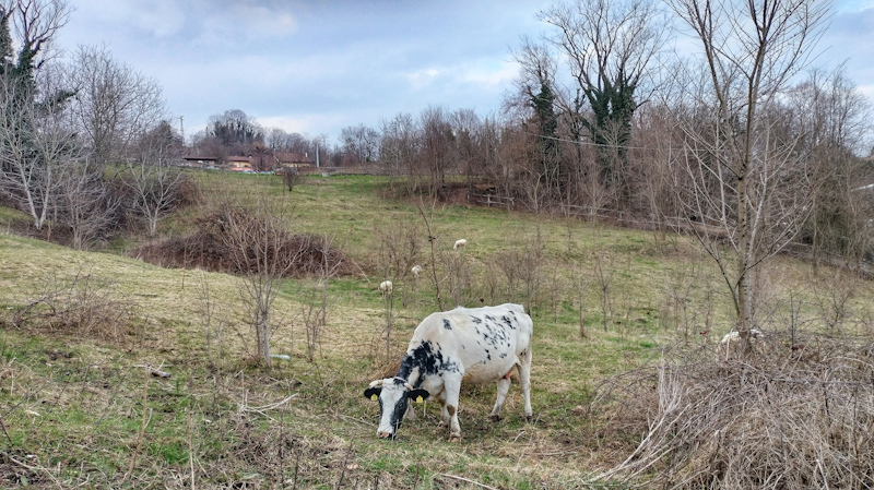 gli ascolti di marzo 2024